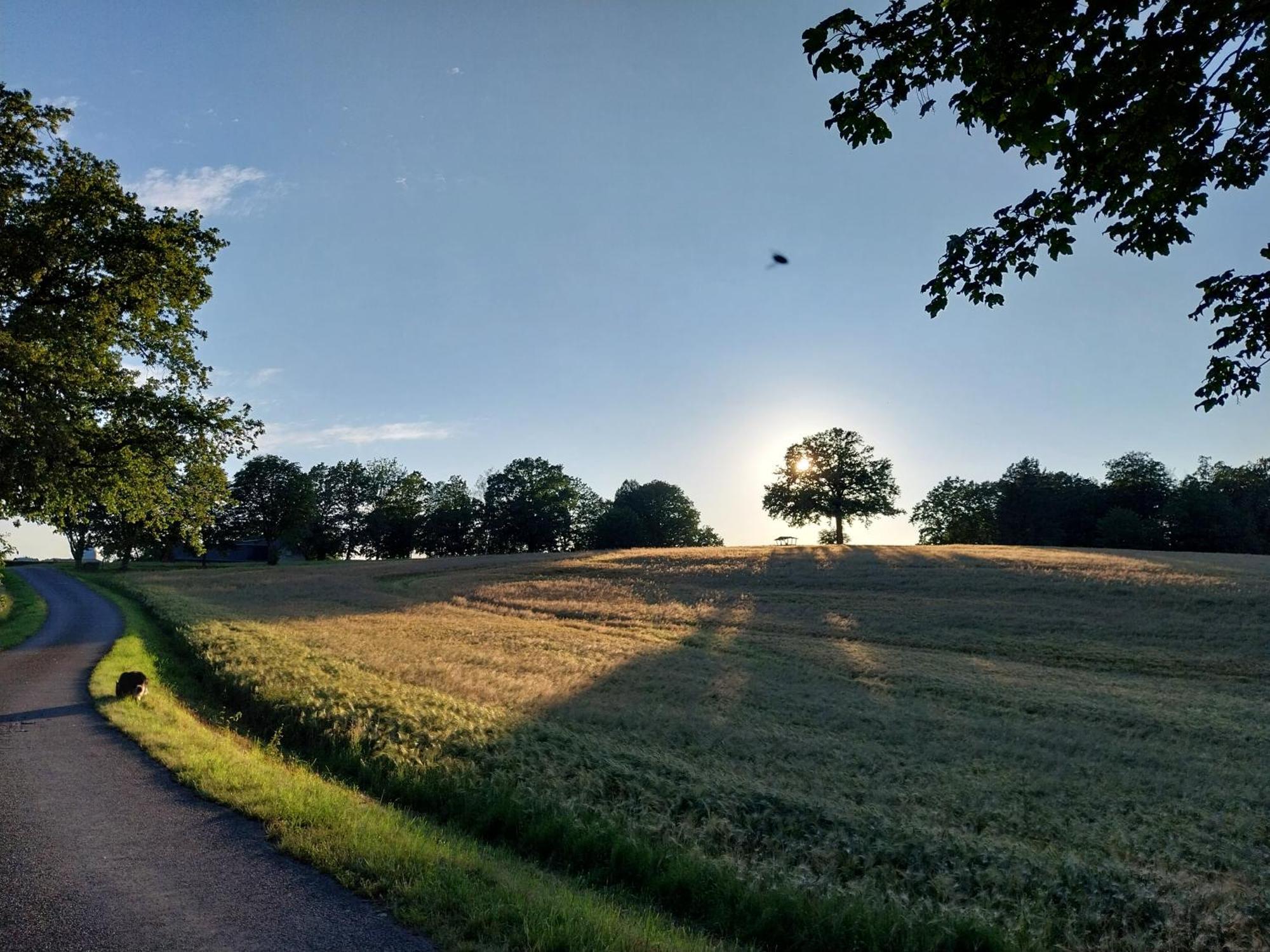Ferienwohnung - Landhotel Waldschloesschen Sohland an der Spree Bagian luar foto